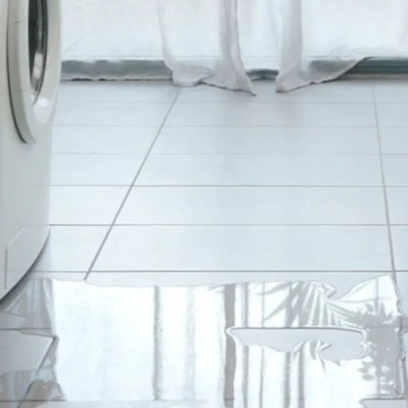 Appliance Leak Cleanup in Pinetops, NC