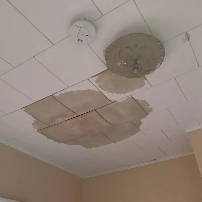 Ceiling Water Damage Repair in Pinetops, NC