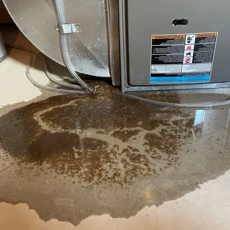Pipe Burst and Leak Restoration in Pinetops, NC