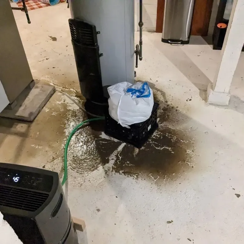 Sewage Backup Cleanup Service in Pinetops, NC